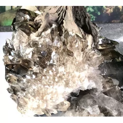 Grand Bonsaï en Citrine, Pied en Quartz fumé, 65 cm