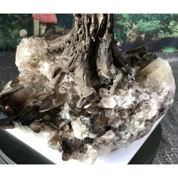 Grand Bonsaï en Citrine, Pied en Quartz fumé, 65 cm