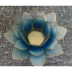 Blue Lotus mood lighting.