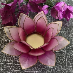 Lotus pink & gold mood lighting.