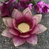 Lotus pink & gold mood lighting.