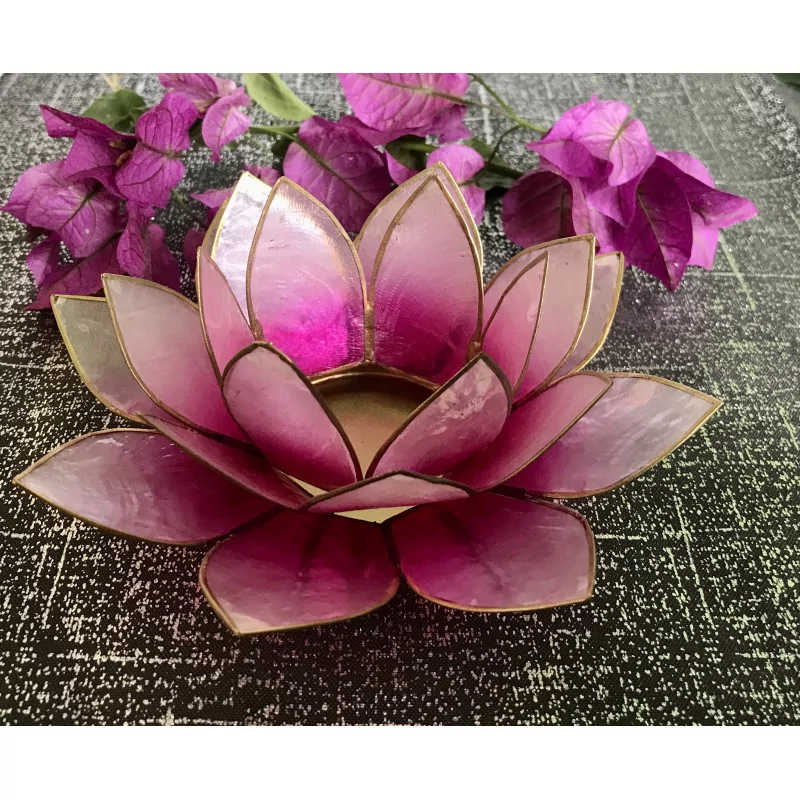 Lotus pink & gold mood lighting.