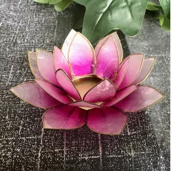 Lotus pink & gold mood lighting.