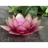 Lotus pink & gold mood lighting.