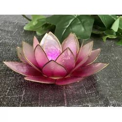 Lotus pink & gold mood lighting.