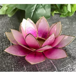 Lotus pink & gold mood lighting.