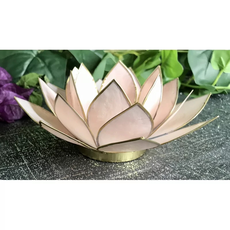 Pastel pink & gold Lotus mood lighting.