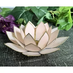 Pastel pink & gold Lotus mood lighting.