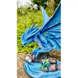 Dragon bleu des mers, 25 cm