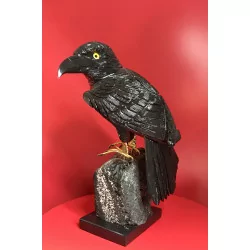 Corbeau en Onyx sur son Quartz Fumé.