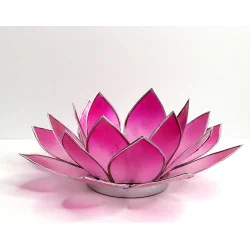 Éclairage Lotus Rose /argent.