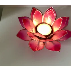 Éclairage Lotus Rose /argent.