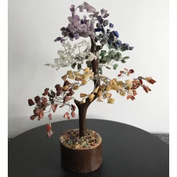 Bonsai 7 Chakras