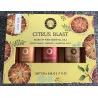 Set d’huiles essentielles d’Aromathérapie Citrus Blast.