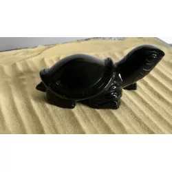 Tortue Obsidienne Oeil Céleste 10 cm