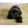 Tortue Obsidienne Oeil Céleste 10 cm